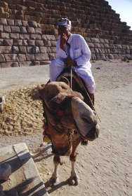 bei den Pyramiden von Giza