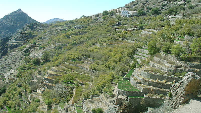 Jebel Akhdar, Oman Oman