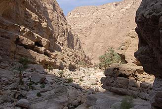 Oman Geo