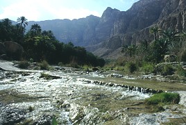 Wadi Tiwi