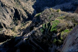 Jebel Akhdar