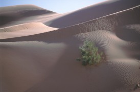 Rub al-Khali