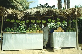 Fruchtsaftstand in Salalah