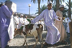 Tiermarkt in Nizwa