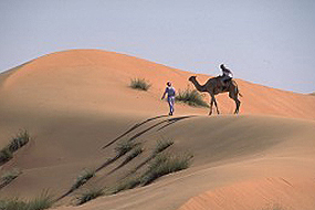 Ramlat al-Wahiba