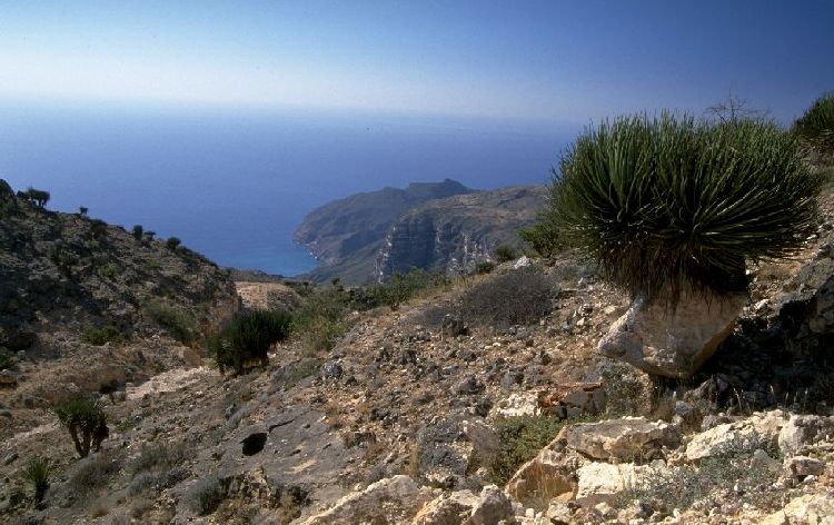 Jebel Qamar