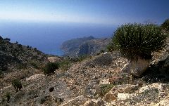 [Jebel Qamar]