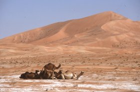 Rub al-Khali