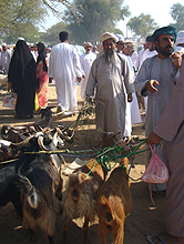 Oman