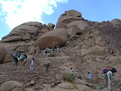 Sinai