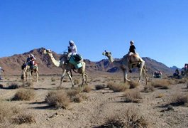 Sinai