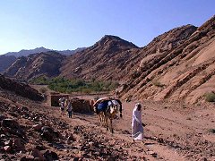 Sinai