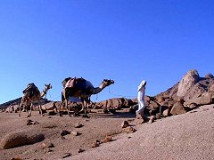 Sinai