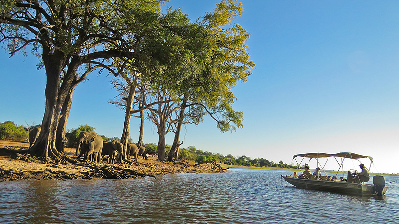Chobe NP, Botswana