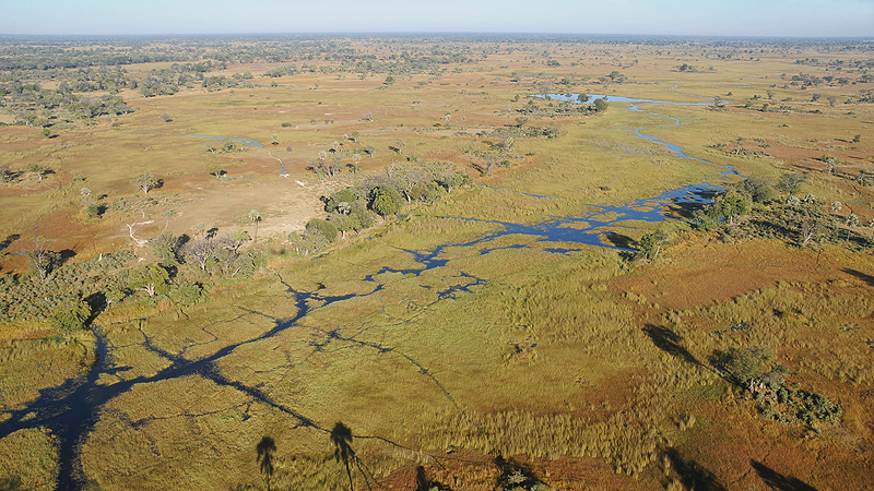 Okavango Delta, Botswana
