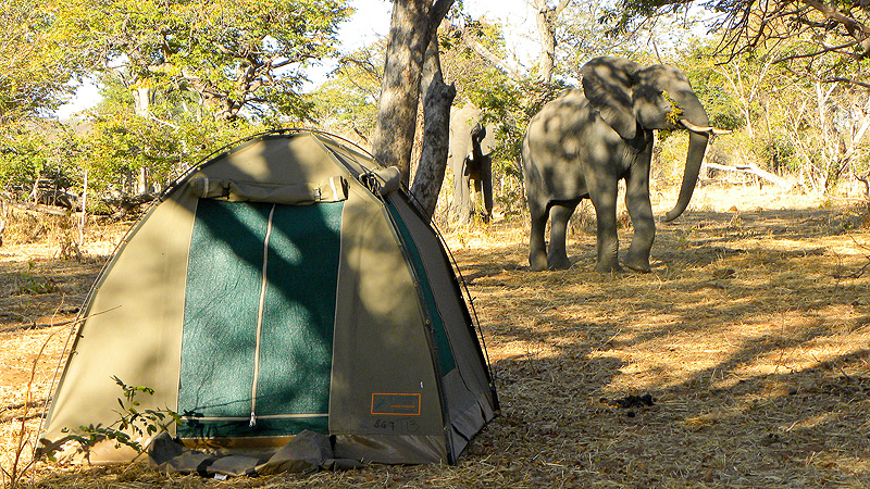 Khama Rhino Sanctuary, Botswana