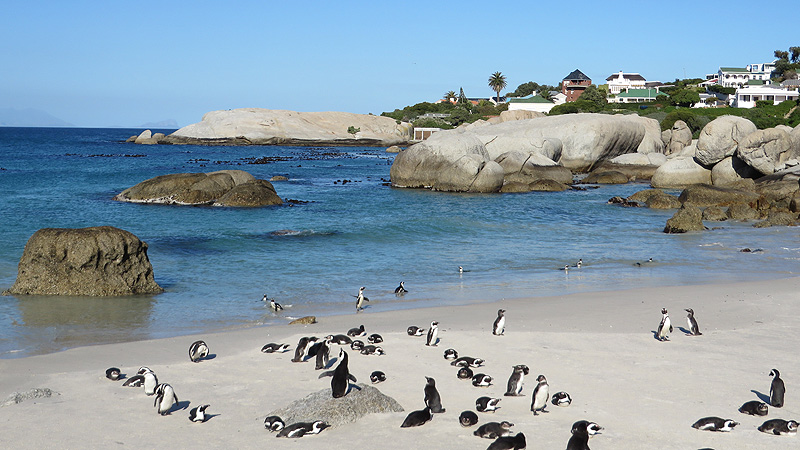 Boulders, South Africa