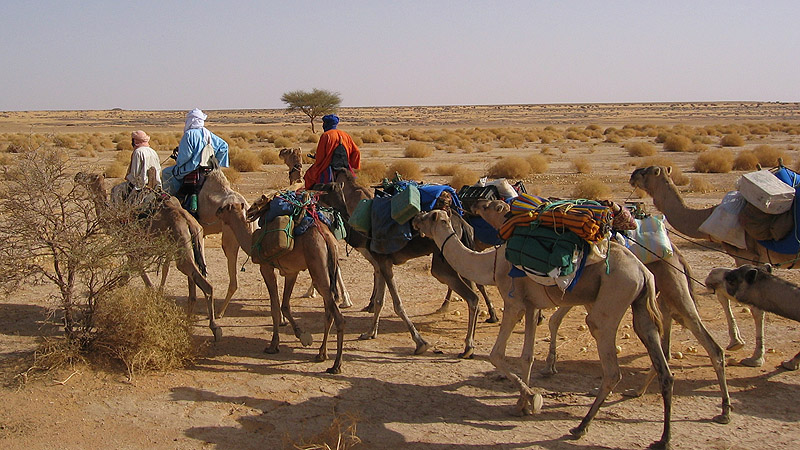 Algerien Algerien