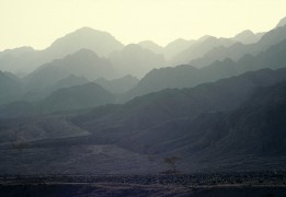 Sinai