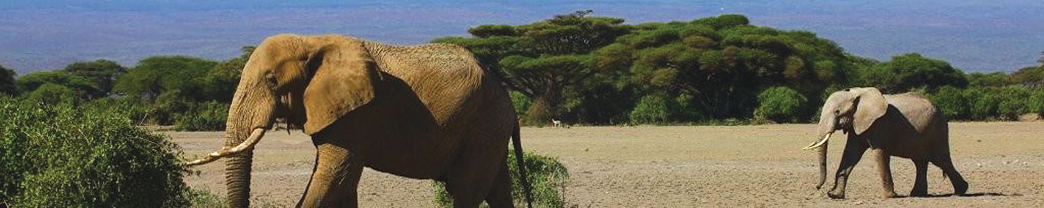 Tanzania, Ol Doinyo Lengai