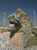 Persepolis