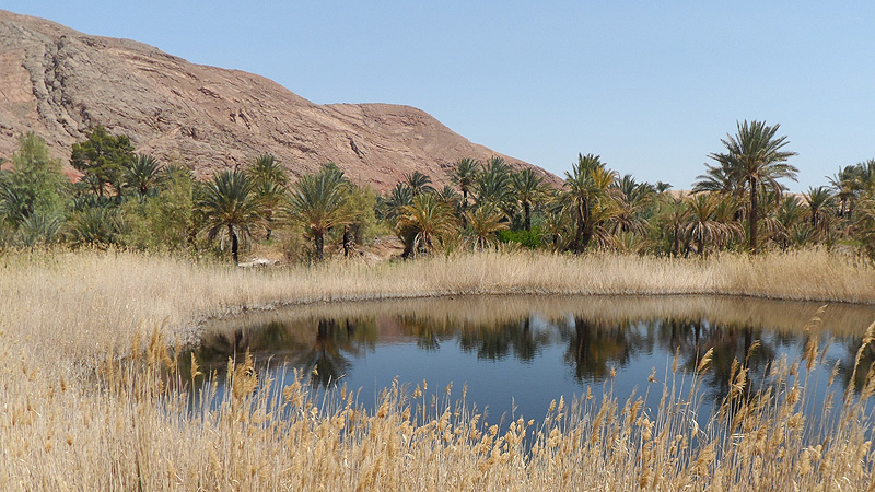 Oasenlandschaft Iran