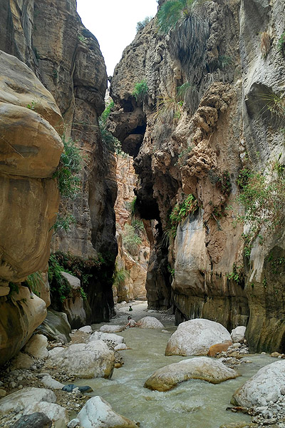 Bedu Expeditionen. Jordanien. Wadi bin Hamad