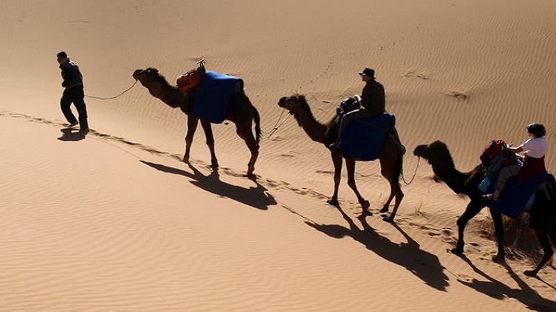 Kameltrekking in der Wüste von Marokko Marokko