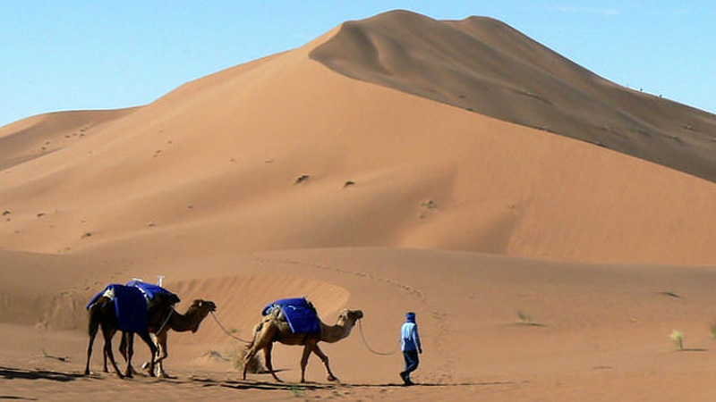 Kameltrekking Marokko Marokko