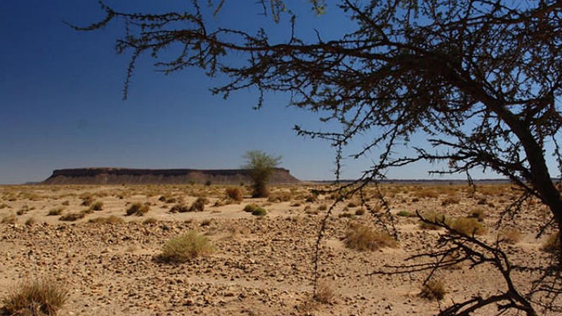 Wüste in Marokko Marokko