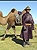 Mongolei