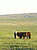 Mongolei