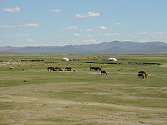 mongolei