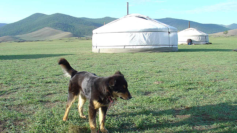 mongolei