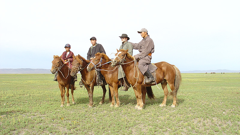 Pferde, Mongolei mongolei