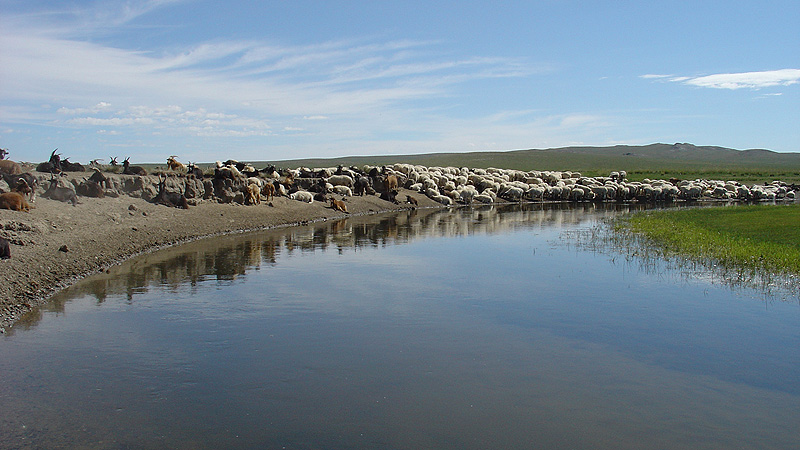 Landschaft, Mongolei mongolei