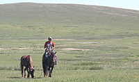 Mongolei