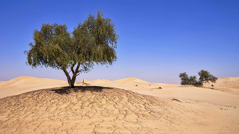 Oman