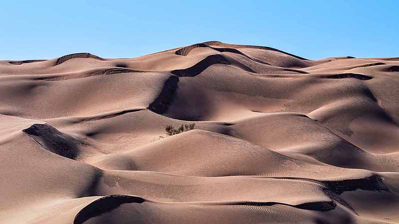 fossile Muscheln, Huqf, Oman Huqf