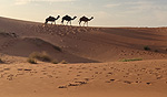 Oman
