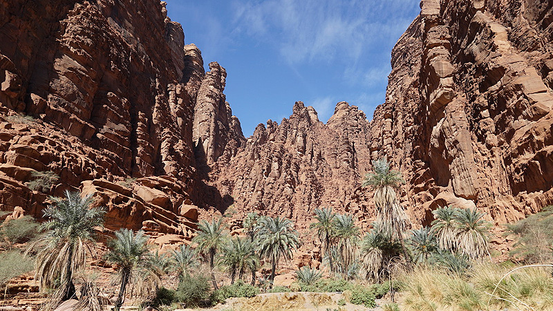 Saudi