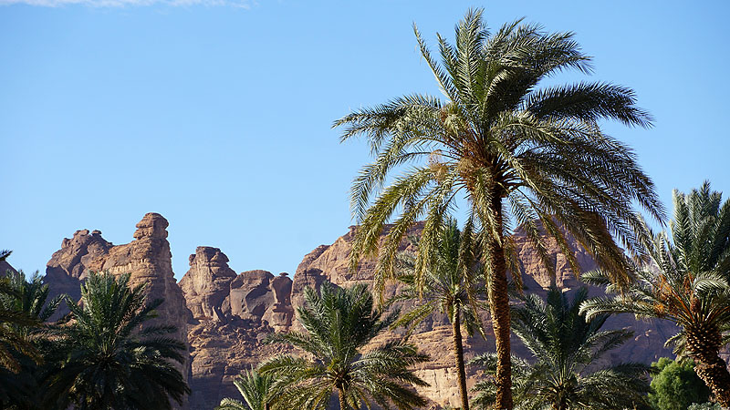Saudi