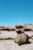 Tour Hochsinai