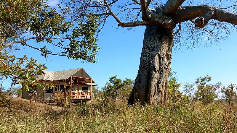 Unterwegs im Manyara NP, Tanzania