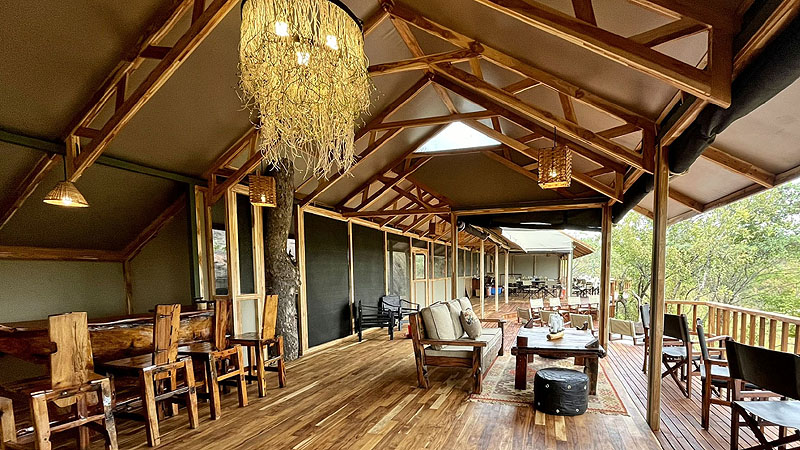 Antilopen im Manyara NP, Tanzania