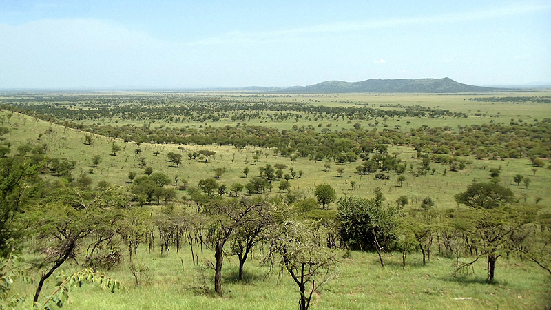 Tanzania, Serengeti